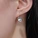 CRYSLOVE Fantastic World Series Aurora Borealis Ball Crystal Earrings for Women 925 Sterling Silver Drop Dangle Rainbow Earrings,Elegant Jewelry Packaging