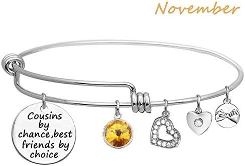 LINKY Birthstone Crystals Bracelet,Cousin Gift, Cousin Jewelry Bracelet,Cousins by Chance,Best Friends by Choice Bangle (K November)