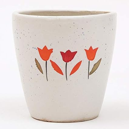 Ferns N Petals Multicolor Ceramic Planter 4 x 4.5 Inch