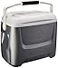 Igloo Iceless Thermoelectric Cooler (Silver/White, 26-Quart)
