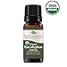 Plant Therapy Organic Eucalyptus Globulus Essential Oil 100% Pure, USDA Certified Organic, Undiluted, Natural Aromatherapy, Therapeutic Grade 10 mL (1/3 oz)