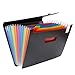Fanyuanfds File Folder Organizer/12 Pockets Hot Pressing Forming Document Organizer with Cloth Edge Wrap and File Guides, Multi-Color Accordion A4 Size with Expanding Wallet Stand for Business/Office