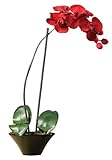 Nearly Natural 4859 Holiday Phalaenopsis Orchid Arrangement, Red