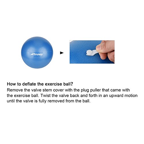 Trideer Pilates Ball 7-8 in with Pump, Small Exercise Therapy Ball for Yoga, Barre, Core Strength, AB Workouts, Physical Therapy