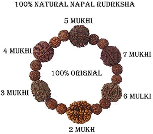 SHIV SHANKAR ACCESSORIES Rudraksha Rudrksh 2 3 4 5 6 7 Mukhi (Face) Beads Mala Band Bracelet Women Men