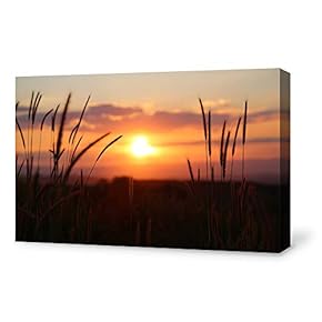 SIGNFORD Canvas Wall Art for Living Room,Bedroom Home...