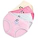 Defitck Little Girls Underwear Cartoon Panties cute Briefs (4-6year, 1070)