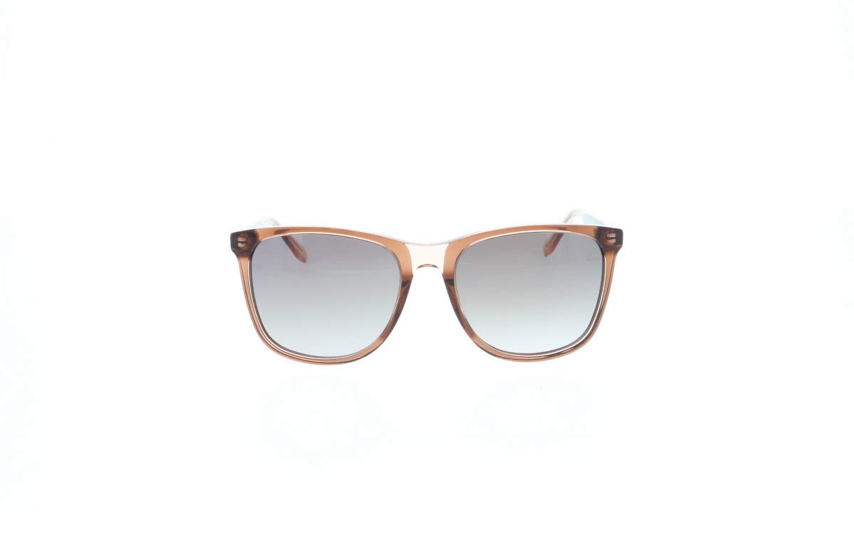 HIS HS429-004 Brown Sunglasses