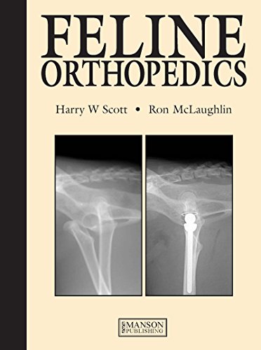 Feline Orthopedics by Harry Scott
