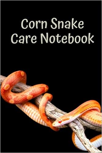 corn snake accessories
