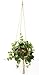 Wildwood MK-48LW 4 Leg Macrame Plant Holders, Lambs Wool, 48-Inch