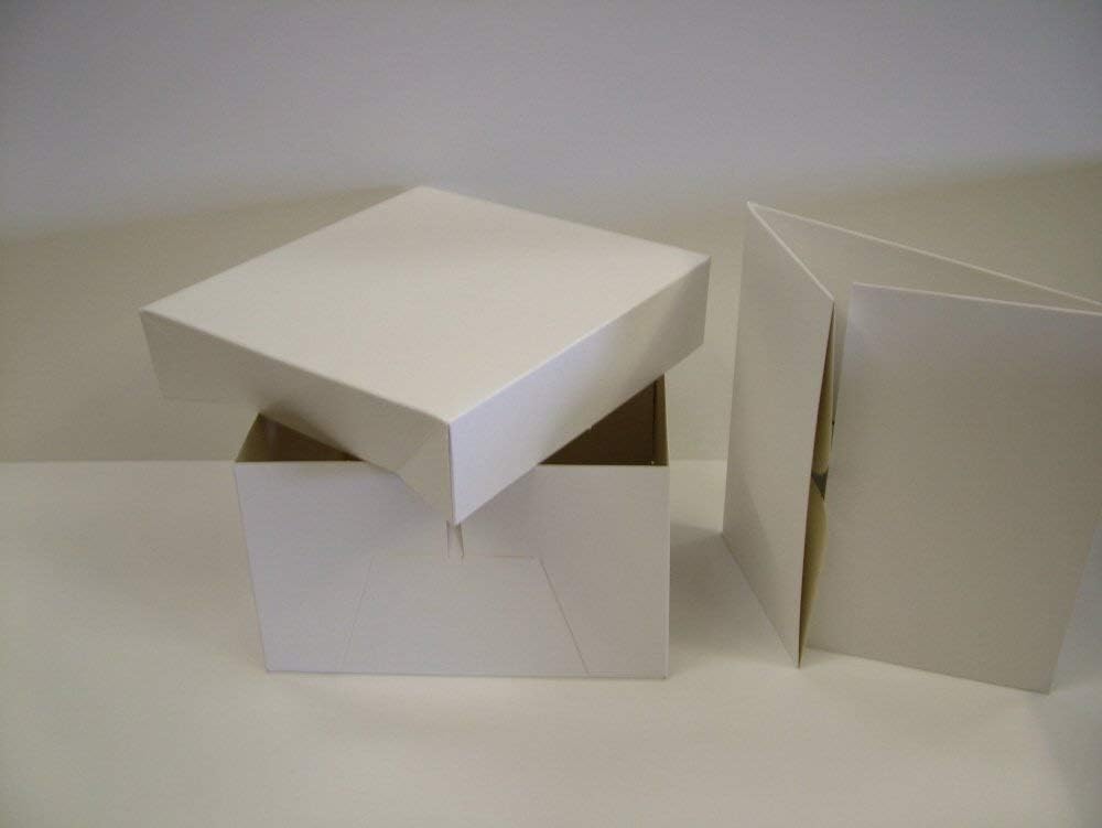Caja para tartas con tapa extraíble (20 cm), color blanco ...