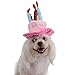 Tinksky Cat Dog Pet Happy Birthday Party Hat with Cake and 5 Colorful Candles Design Cosplay Costume Accessory Headwear (Blue)