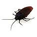 Tipmant RC Cockroach Insect Bug Remote Control Car Vehicle Electric Animal Toy Kids Gift