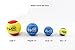 Happy Birthday Dog Tennis Balls (6 Pack) by Midlee (Regular, Pink)