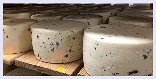 Ganzer Käselaib Pager Kuhmilchkäse Truffle cheese TARTUFIN ca. 2,4 kg Trüffel Käse - Sir am Stück aus Kroatien, Kolan… – Bild 6
