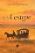 Livro A estepe (ed. bolso)