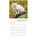 2018 Kittens Wall Calendar (Mead)