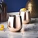 VonShef Double Walled Stemless Copper Wine Glass, Stainless Steel, Set of 2