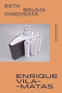 Livro Esta bruma insensata