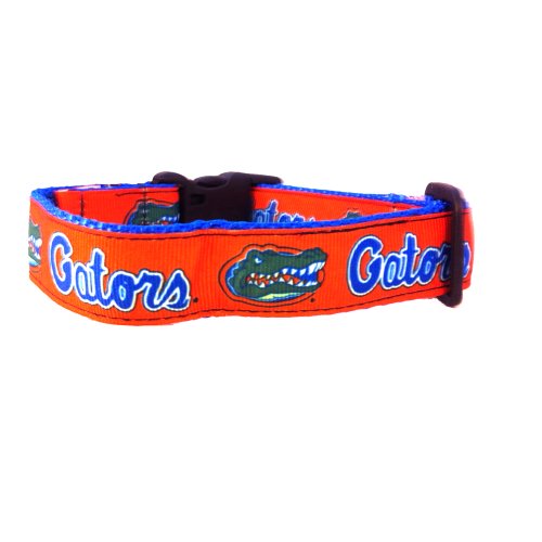 NCAA Florida Gators Dog Collar, Team Color, Small - Thumbnail 4