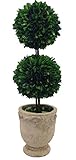 Preserved Boxwood Dble Ball Topiary W/ Footed Pot 21