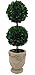 Preserved Boxwood Dble Ball Topiary W/ Footed Pot 21