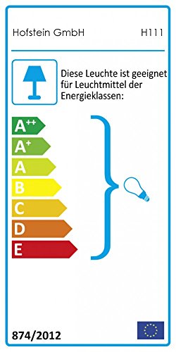 HOFSTEIN Gartenstrahler Pilsen, Gartenlampe mit Erdspieß, Außenleuchte aus Aluminium in Schwarz, Gartenbeleuchtung mit… – Bild 8