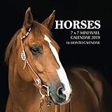 Horses 7 x 7 Mini Wall Calendar 2019: 16 Month Calendar by Mason Landon
