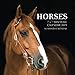 Horses 7 x 7 Mini Wall Calendar 2019: 16 Month Calendar by Mason Landon