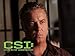 CSI: Crime Scene Investigation, Season 8
