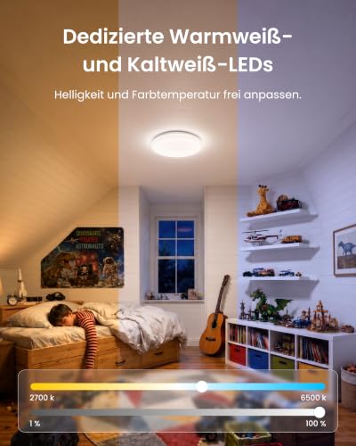 SwitchBot RGBICWW Deckenleuchte 30cm, Matter-Zertifizierte LED Deckenleuchte Dimmbar 2000LM, 2700–6500K, 20W, Kompatibel mit Alexa & Apple Home, CRI 90+, Deckenlampe LED für Schlafzimmer, Wohnzimmer