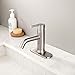 HOMELODY Single Handle Bathroom Faucet with 1 or 3 Holes, for Single Hole Vanity, RV, Lavatory Bathroom Sink Faucet Brushed Nickel Stainless Steel, with Deck Plate and Supply Lines