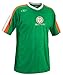 Xara International Series Ireland Short Sleeve Jersey
