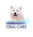 Nylabone Advanced Oral Care Tartar Control Dog Toothpaste Original 2.5 oz. (1 Count)
