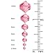 Swarovski Crystal, #5328 Bicone Beads 4mm, 24 Pieces, Crystal Lilac Shadow