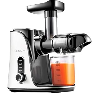 AMZCHEF Estrattore di Succo a Freddo, display a LED, motore silenzioso e funzione inversa, Estrattore di frutta e verdura con 2 velocità, 2 Bottiglia d’Acqua, funzione anti-intasamento – bianco perla