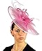 C.C Cocktail Fashion Sinamay Fascinator Hat Feather & Flower Design S102450, Pink