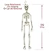 Colonel Pickles Novelties Poseable Skeleton Figure 19 Inch for Model Or Halloween Decoration - Multiple Custom Pose Positions