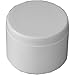 Genova Products 30157CP 3/4-Inch PVC Pipe Cap, Slip - 10 Pack primary