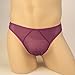 Zeagoo Men's Net Yarn Underpants Underwear Purple
