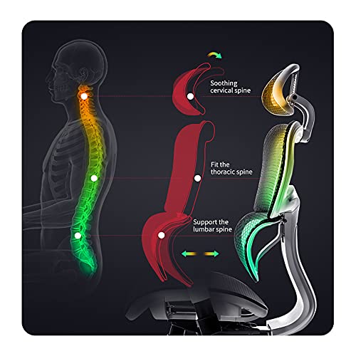 Rottnen ErgoRo Ergonomic Office ChairRolling Desk Chair with 3D