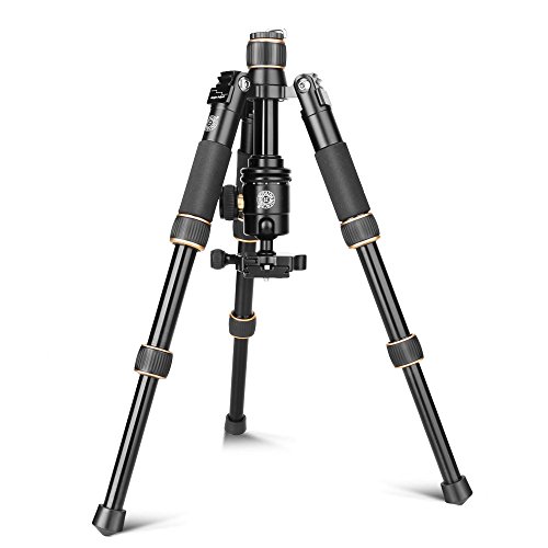 QZSD Q166A Aluminum Alloy Tripod 21.6 Inch Desktop Light Weight Monopod with Ball Head 1/4 Quick Release Plate for DSLR Camera