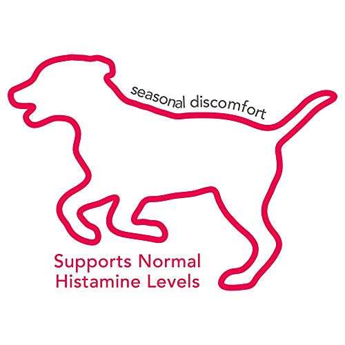 Vet's Best Seasonal Allergy Soft Chews Dog Supplements, 30 Day Supply