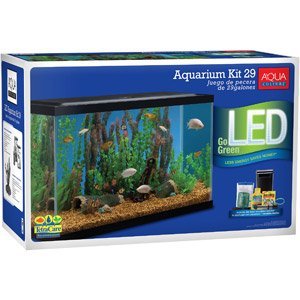 Aqua Culture Aquarium Starter Kit, 29 Gallon Import It All