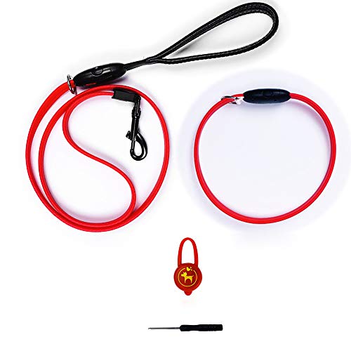 Holdall Rechargeable LED Dog Collar and Leash for Night Walking Holdall Rechargeable LED Dog Collar and Leash for Night Walking