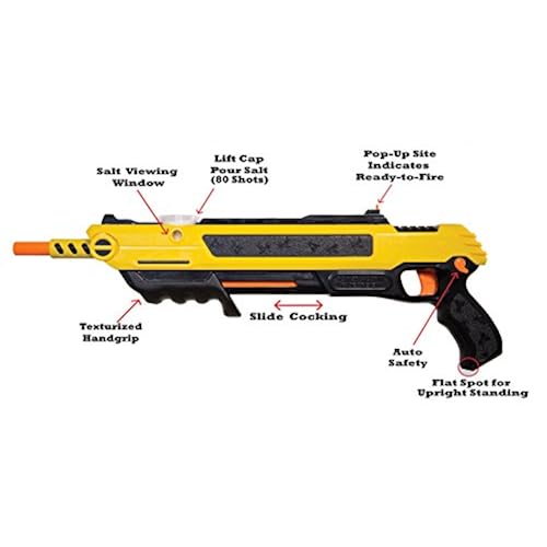 Patio, Lawn & Garden, Pest Control