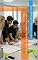 Livro A Educação Omnilateral e os Institutos Federais:: Uma Análise Crítica e Reflexiva. (HISTÓRIA DA EDUCAÇÃO)