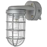 Sunlite VTA100 9.7-Inch 100 Watt Vapor Proof Vandal Proof Outdoor Fixture, Metallic Finish Clear Glass (Tools &amp; Home Improvement)