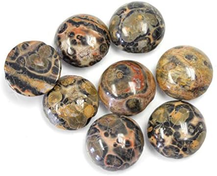 10mm Round Genuine Leopard Skin Agate Calibrated Cabochon 12 Piece Lot Flat Back DIY Jewelry Making